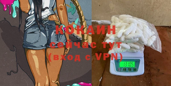 твердый Майский