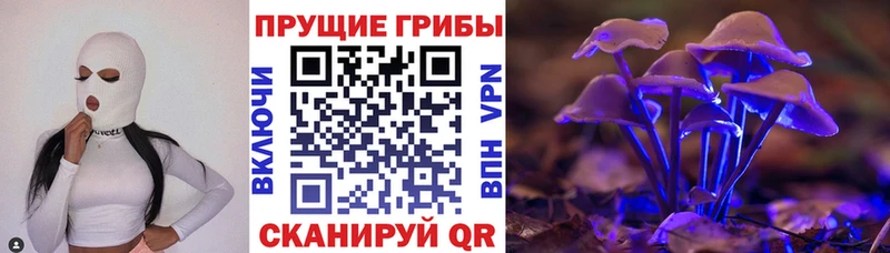 Псилоцибиновые грибы Psilocybe  купить наркоту  Безенчук 